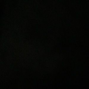 Meet your Posher, Kyra